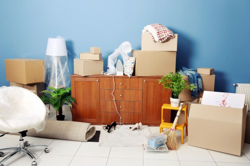 Somerstown storage concept with organized boxes and extra space
